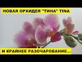 МИНИ ОРХИДЕЯ "ТИНА" TINA. КУПИЛА и ПОЛУЧИЛА КРАЙНЕЕ РАЗОЧАРОВАНИЕ и МАССУ ЗАБОТ