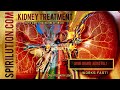 Kidney function repair cleanser  rejuvenator binaural beats healing frequency meditation music