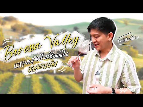 วีดีโอ: ข้อมูลการท่องเที่ยวภูมิภาคไวน์ออสเตรีย