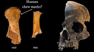 A Prehistoric Cannibal Macre
