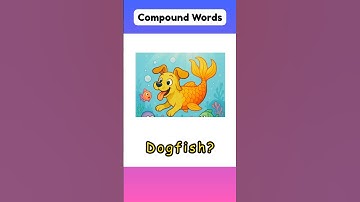 Literal Vs Reality English | Compound Words 🇬🇧💕 #learning #english #kids #beginner #easy #dogfish