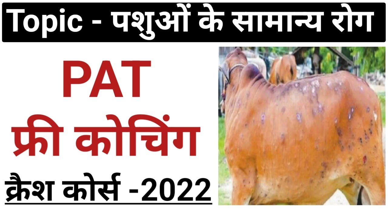 नि: शुल्क PAT क्रैश कोर्स-2022 पशुओं के सामान्य रोग(Animal diseases ...