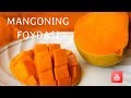 Mango va uning foydalari