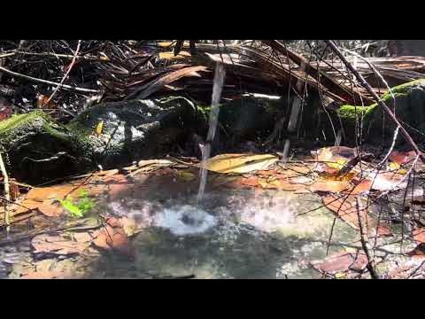 Sorib uxlab yotgan yigit porno