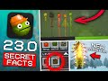 Secret facts of the new update 230 in melon playground