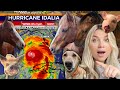We are ready preparing for hurricane idalia with all my pets