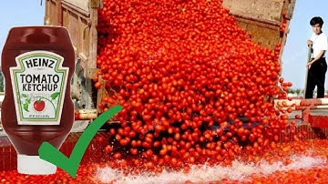 How Tomato Ketchup Is Made - Tomato Harvesting And Processing Process With Modern Technology
