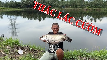 ĐI CÂU CÁ THÁC LÁC CƯỜM VỀ NẠO CHẢ CÁ NẤU CANH CẢI BẸ XANH