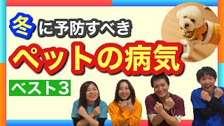 【犬猫の病気】冬になりやすい病気ランキング！