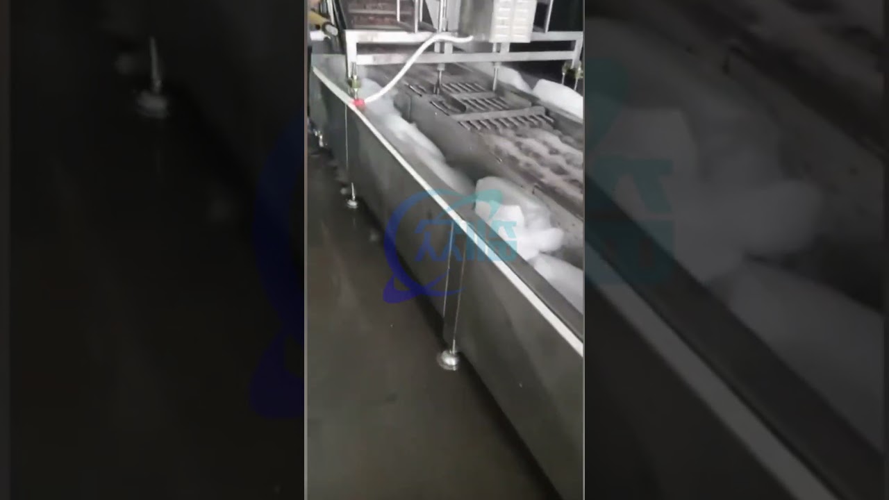 shrimp glazing machine, 