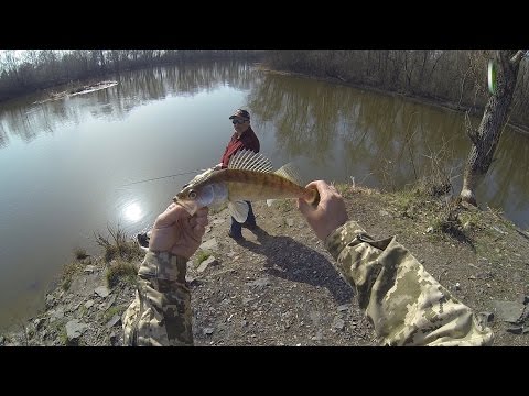 рыбалка в пермском крае видео весной на судака рыбалка во пермском крае видео по весне получи и распишись судака