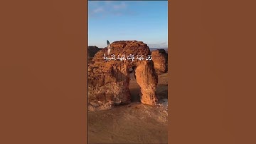 🌊🌳 راحة للقلب والروح – تلاوة للشيخ علي صلاح عمر مع الطبيعة#القرآن_الكريم#quran #اكسبلور