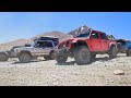 Overlanding With Bears In Our Camp...And TrailRecon! Jeep Gladiator Land Rover Discovery