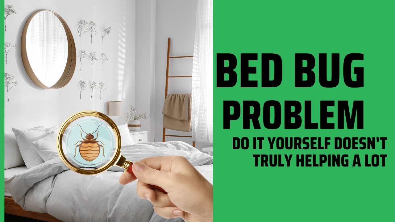 Bed Bugs | Don’t make this common mistake