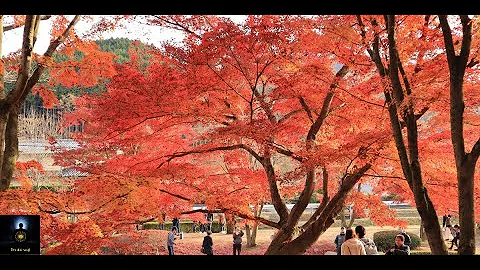 20 Minute Awareness Meditation Music, Relax Mind Body : Chakra Cleansing and Balancing