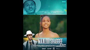 Sirba Afaan Oromoo Haaraa Gulummaa Dajanee Guluma Dejene New Music 2 Oromoculture 