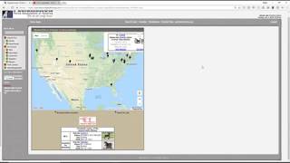 Digital Horses Stallion Breeding Marketplace