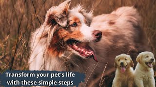 How to Create a Happy and Healthy Pet: Essential Tips for Pet Owners by Love For Animals 55 views 1 year ago 3 minutes, 25 seconds
