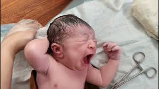 Ritual terindah bayi baru lahir setelah persalinan #kelahiran #bayi #video