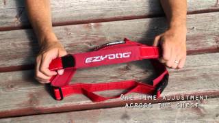 Ezydog Quickfit Dog Harness - Simple Support