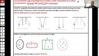 8 sınıf fen bilimleri 2 dönem 2 yazılı sınavı