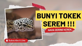 Bunyi Tokek Rumah Seram | Nada Dering Pesan WA