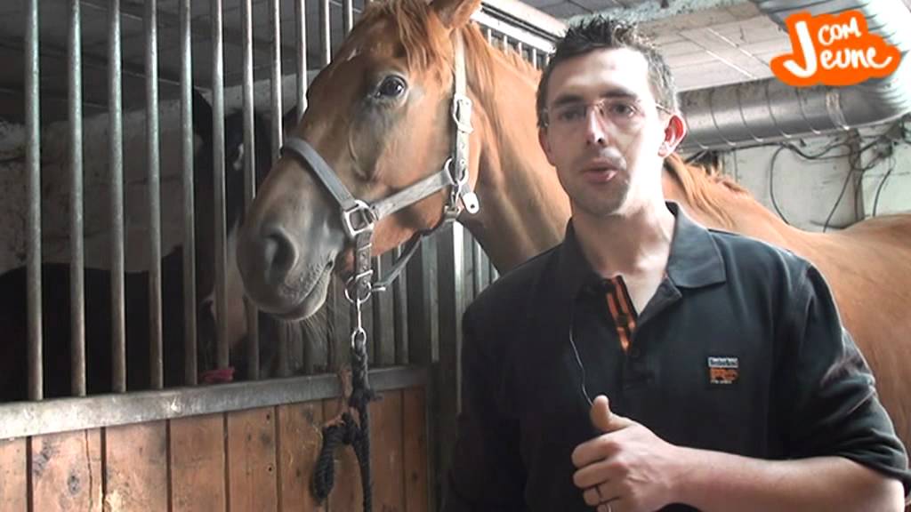 Comment devenir marechal-ferrant