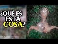 ¿Un Alien en California? | Reporte Express.