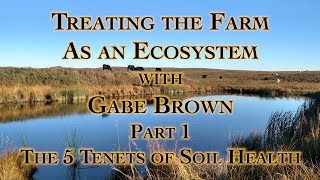 Treating the Farm as an Ecosystem with Gabe Brown Part 1, The 5 Tenets of Soil Health