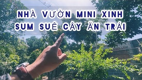 NHÀ VƯỜN CÂY ĂN TRÁI SUM SUÊ CÁC LOẠI Dành Cho Cô Chú AC YÊU CÂY XANH BÓNG MÁT ĐÂY Ạ !