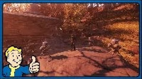 So I played fallout 76 for 24 hours, starting at level 1!