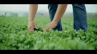Our herb grower, Van Vugt
