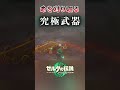任天堂も想定していなかった命を刈り取る8連ビッグブーメランって知ってた?【ティアキン】