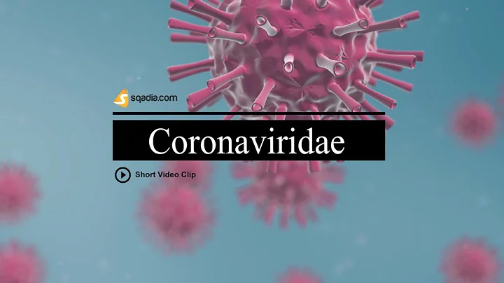 Coronaviridae | COVID-19 | Public Awareness Message | V-Learning | sqadia.com - DayDayNews