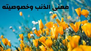 معنى الذنب وخصوصيته