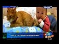 on the spot 7 aksi lucu anak dengan hewan