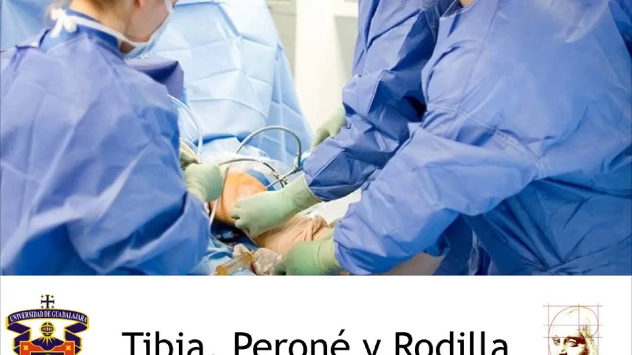 Anatomía Tibia, Peroné y Rodilla anatomia muscular