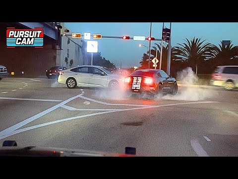 Florida Police Dashcam Moments You Wouldn&#39;t Believe if Not Filmed!