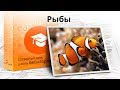 Тема: &quot;Рыбы &quot; - Словарный запас школы GeniusEnglish