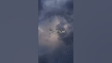 {فَفِرُّوٓاْ إِلَى ٱللَّه} | سورة الذاريات- الآية ٥٠|