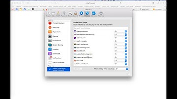 Safari Enable Flash Player