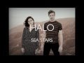 Halo  by sea stars