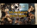 100eggs manual Incubator customer feedback _ NAMAKKAL