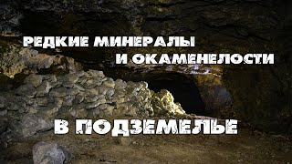 Что скрывают битумные штольни?| Поиск и обзор редких сезонных минералов и окаменелостей