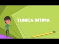 What is Tunica intima? Explain Tunica intima, Define Tunica intima, Meaning of Tunica intima