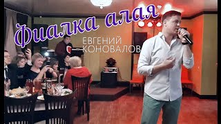 Евгений КОНОВАЛОВ - "Фиалка алая" (Видео с концерта в г. Братск 30.11.2019 г.)