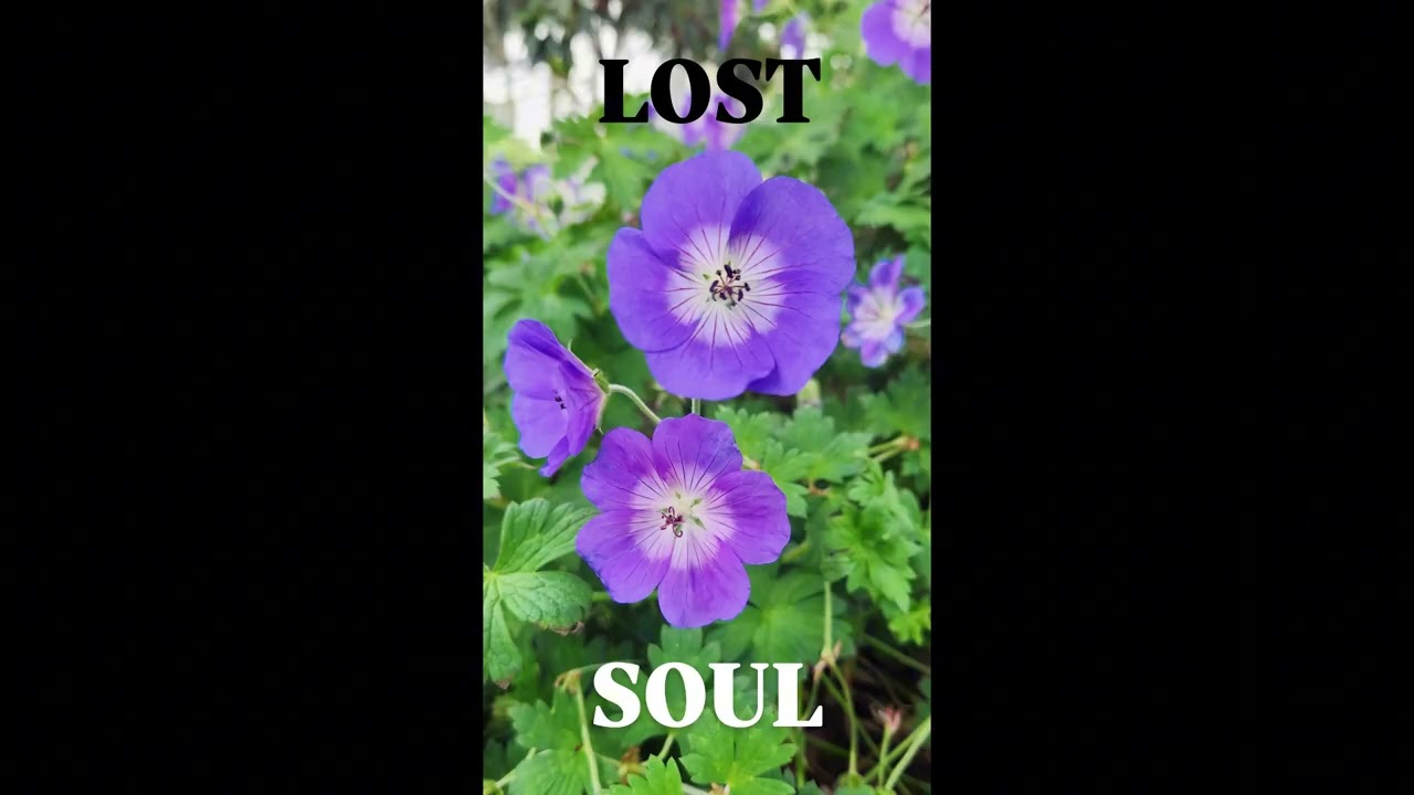 LOST SOUL BY VIVION
