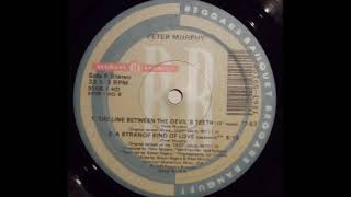Celebrity Peter Murphy - The Line Between The Devil's Teeth (And That Which Cannot Be Repeat) (12' Remix) (B1) Net Worth
