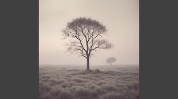 Shattered Reflections