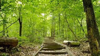 A little of walking and paranomal